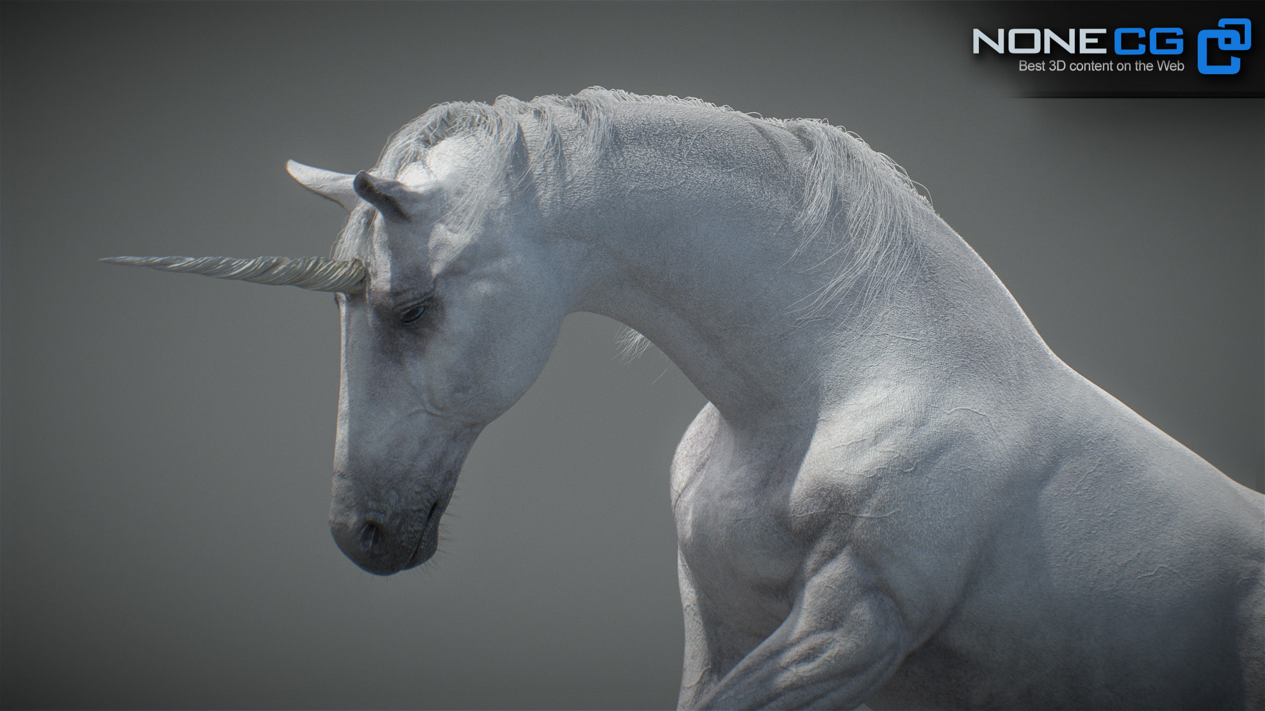 Animated Unicorn 3D model_21