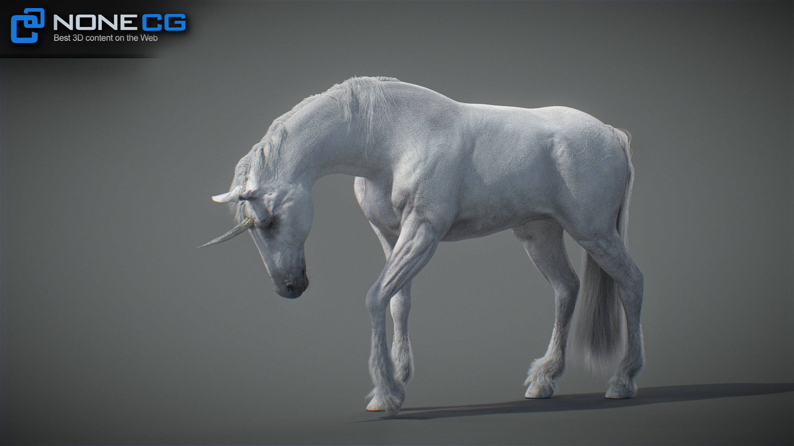 Animated Unicorn 3D model_19