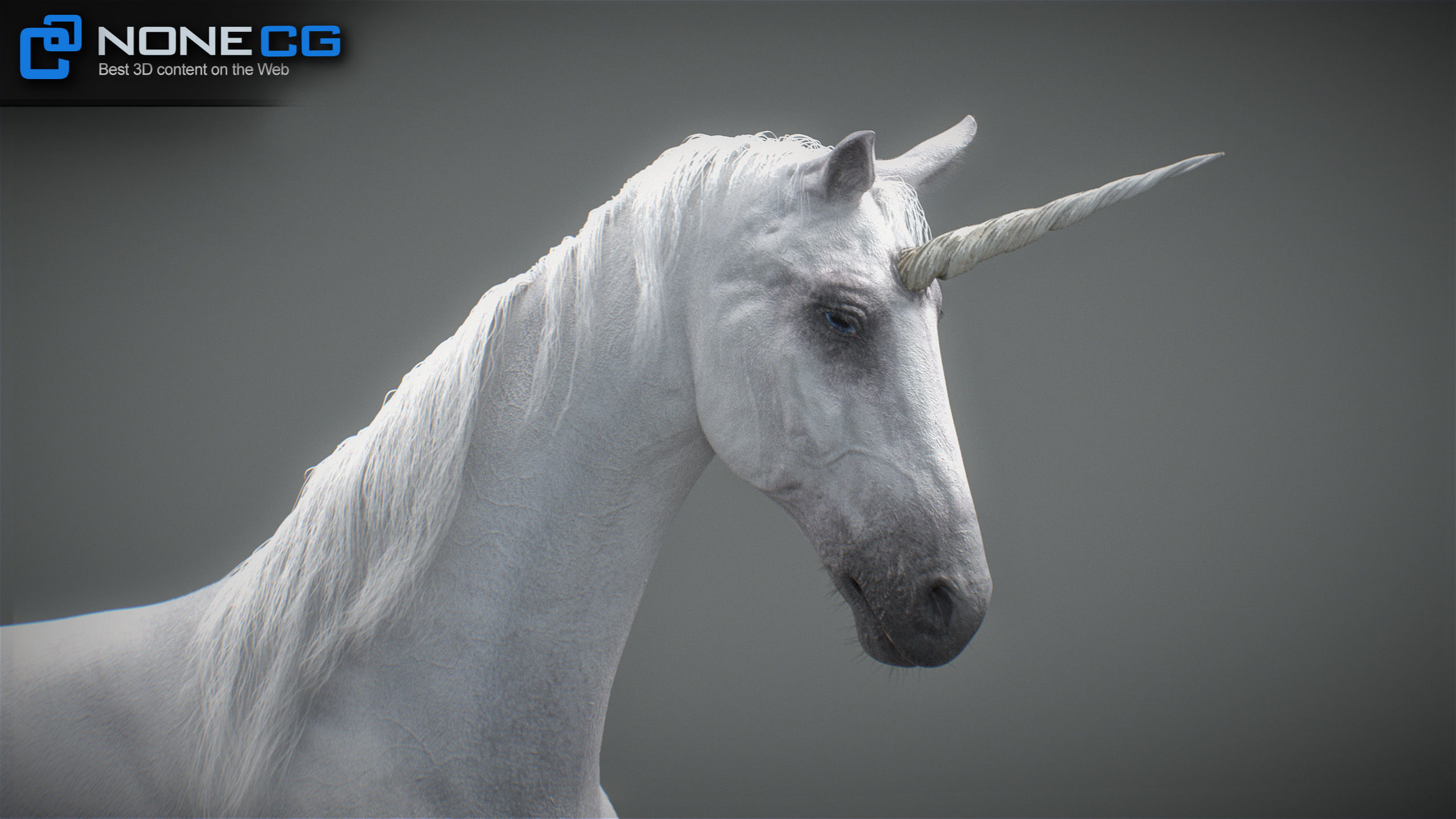 Animated Unicorn 3D model_22