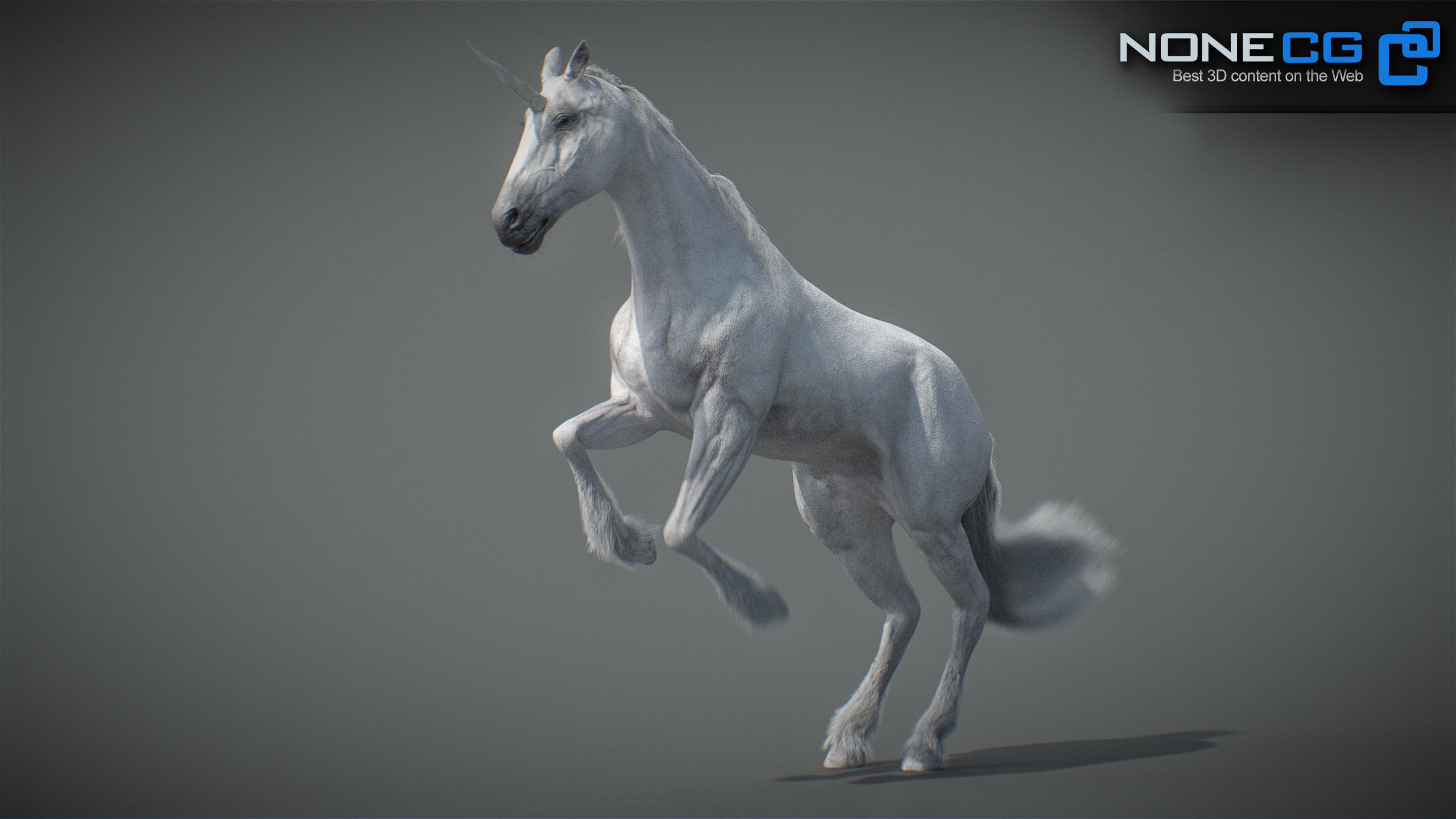 Animated Unicorn 3D model_17