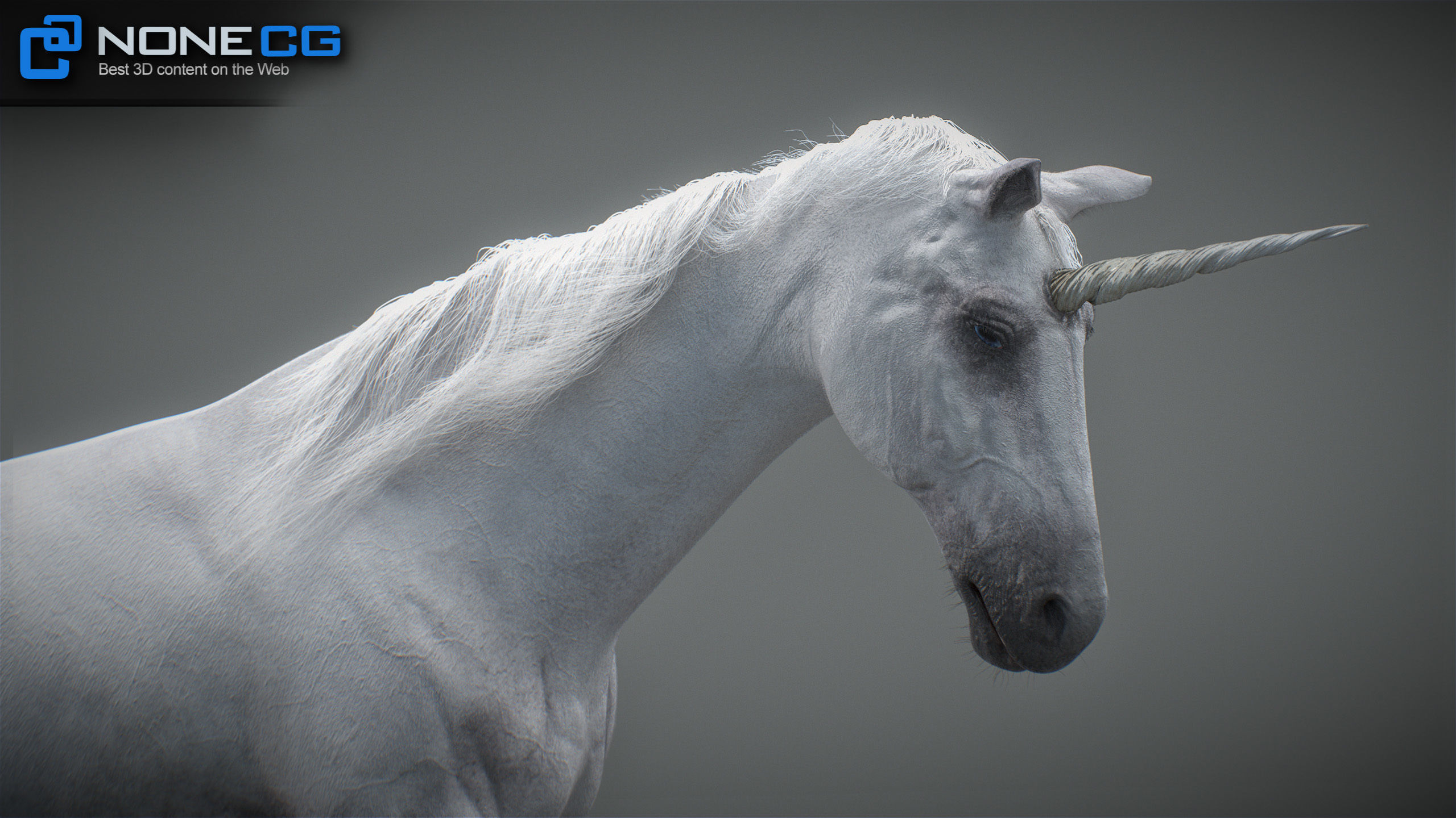 Animated Unicorn 3D model_14