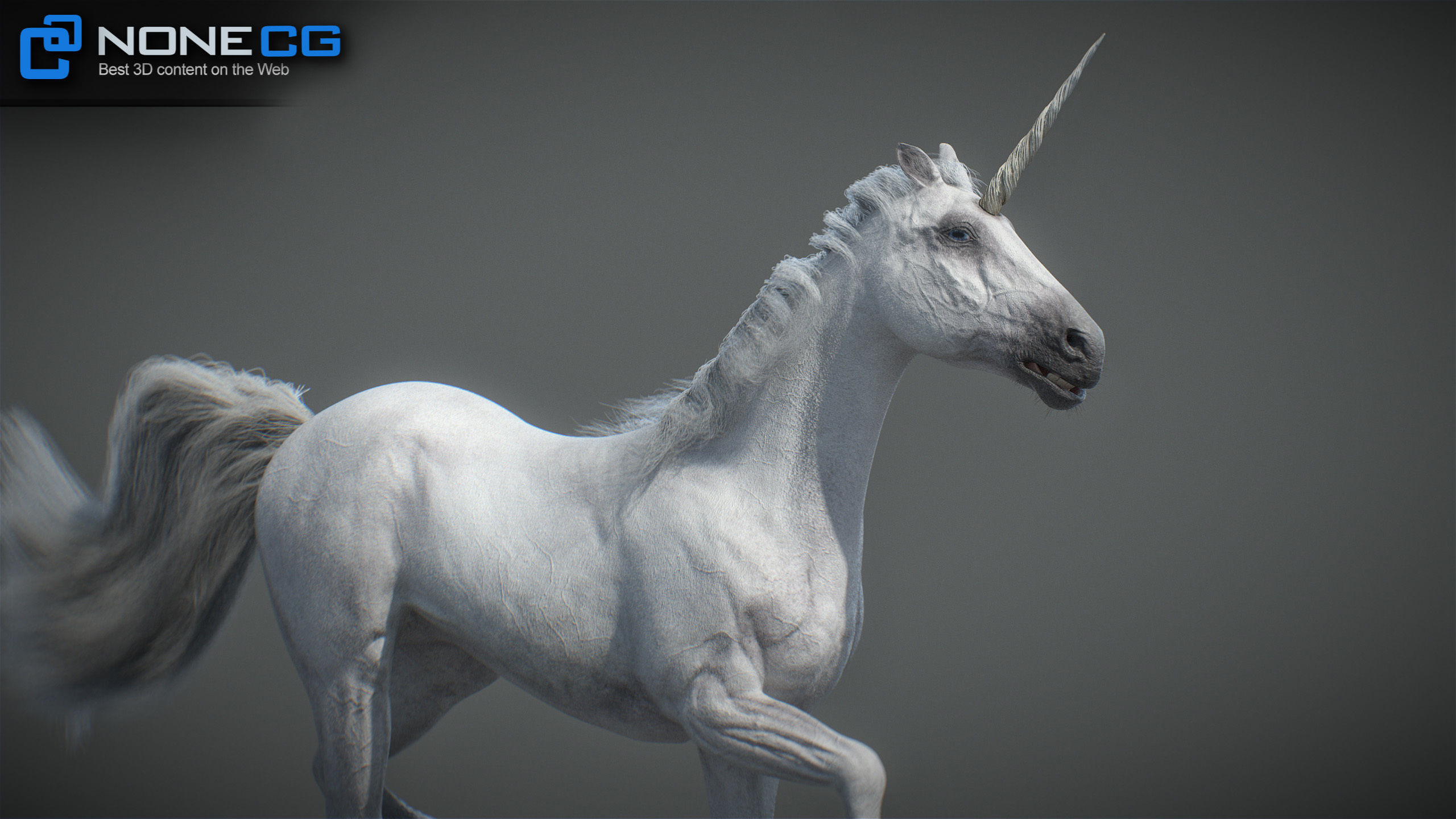 Animated Unicorn 3D model_18
