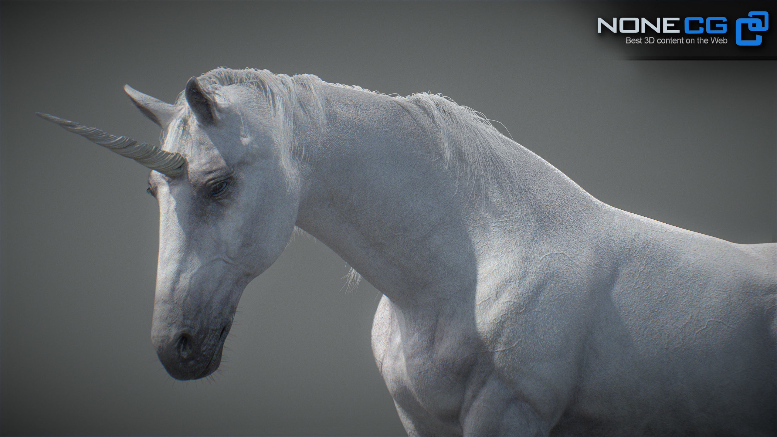 Animated Unicorn 3D model_4