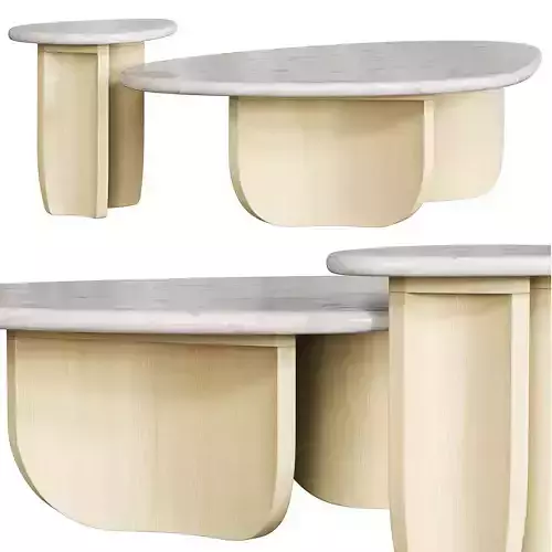 Anthropologie coffee and side tables Saba