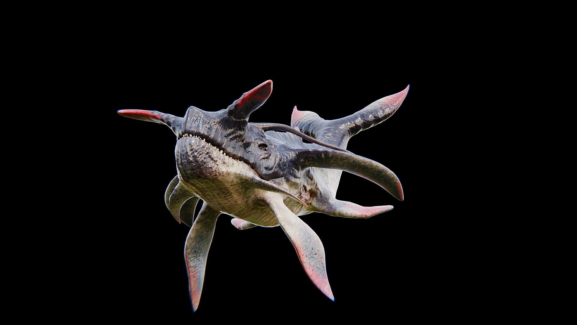 Alien Whale Creature Low-poly 3D model_29