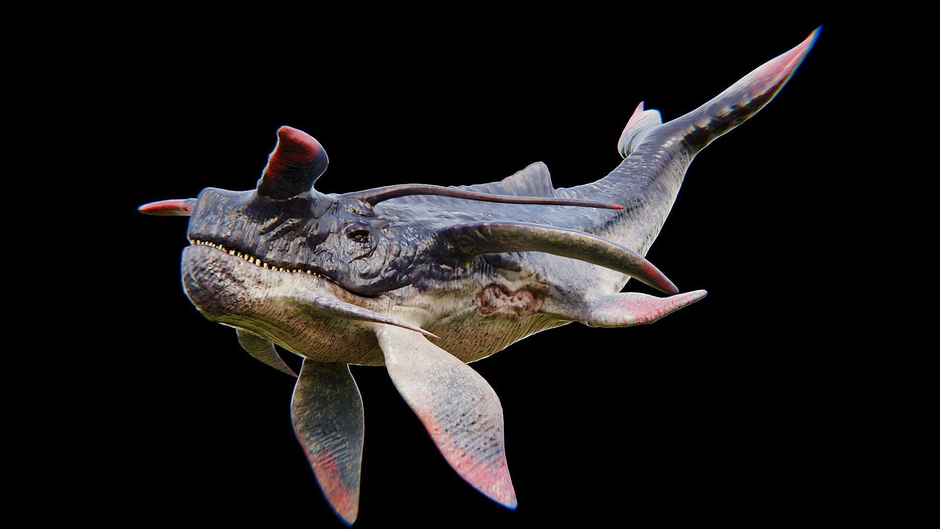 Alien Whale Creature Low-poly 3D model_12