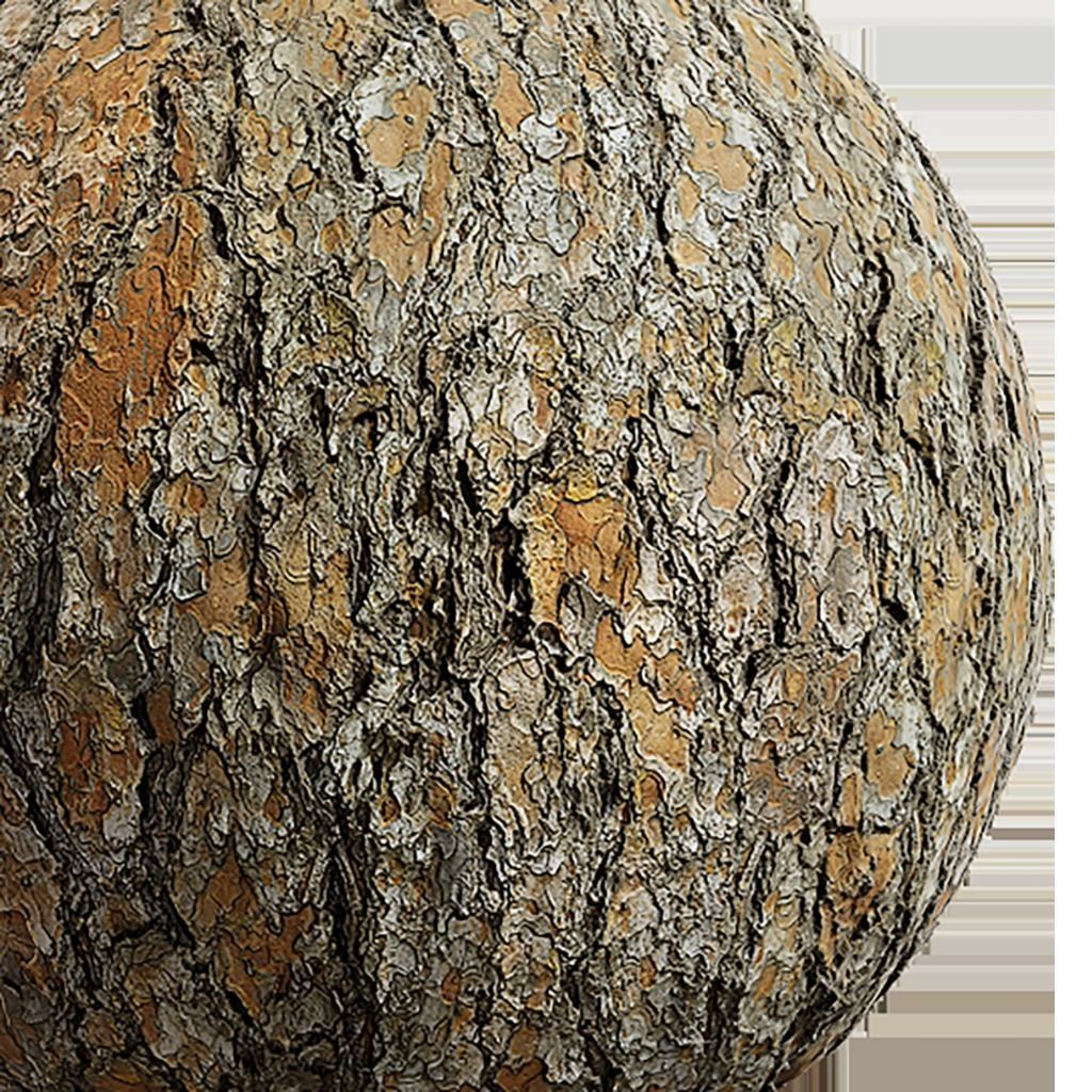 Bark Seamless Texture 2K - EXR 5 - JPG 5 Texture Texture_2
