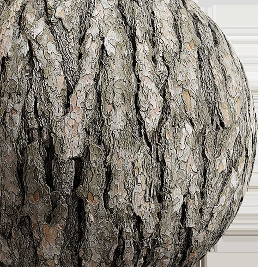 Bark Seamless Texture 2K - EXR 5 - JPG 5 Texture Texture_1