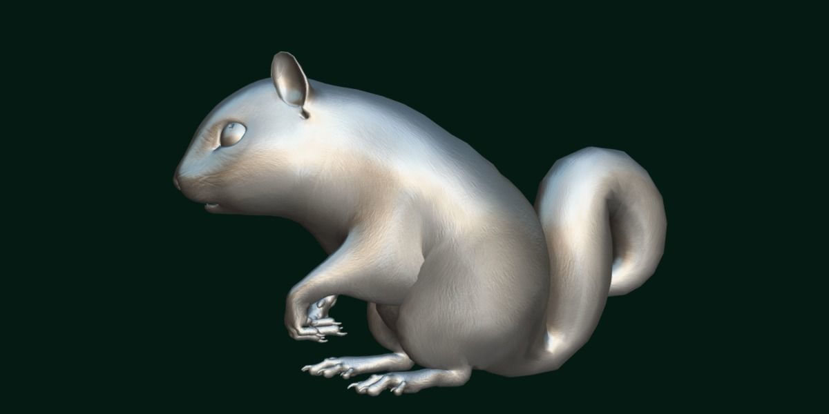 Eurasian Red Squirrel 3D model_4