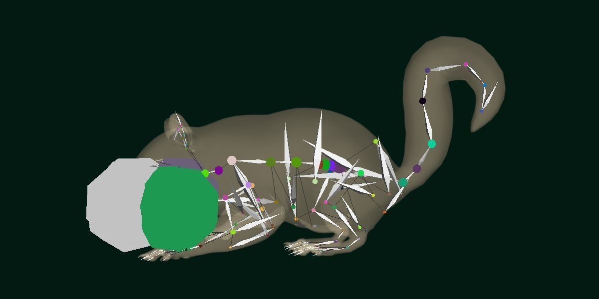 Eurasian Red Squirrel 3D model_10