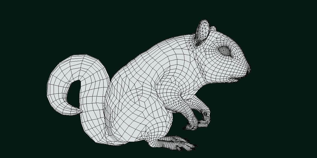 Eurasian Red Squirrel 3D model_6
