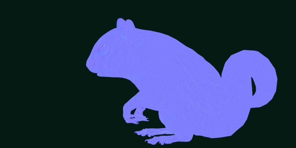 Eurasian Red Squirrel 3D model_14