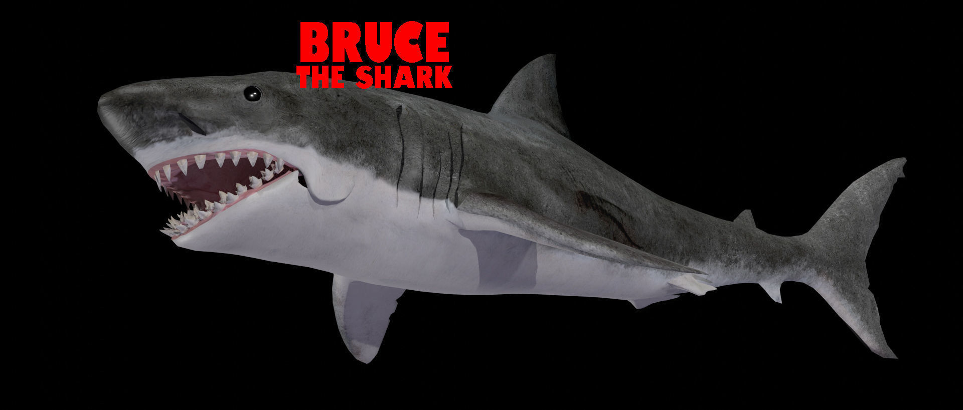 Bruce the Shark from Jaws 3D model_5