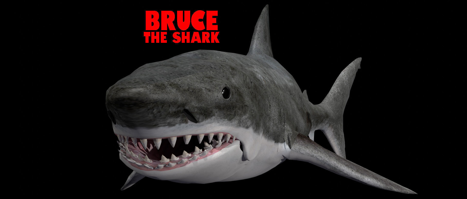 Bruce the Shark from Jaws 3D model_2
