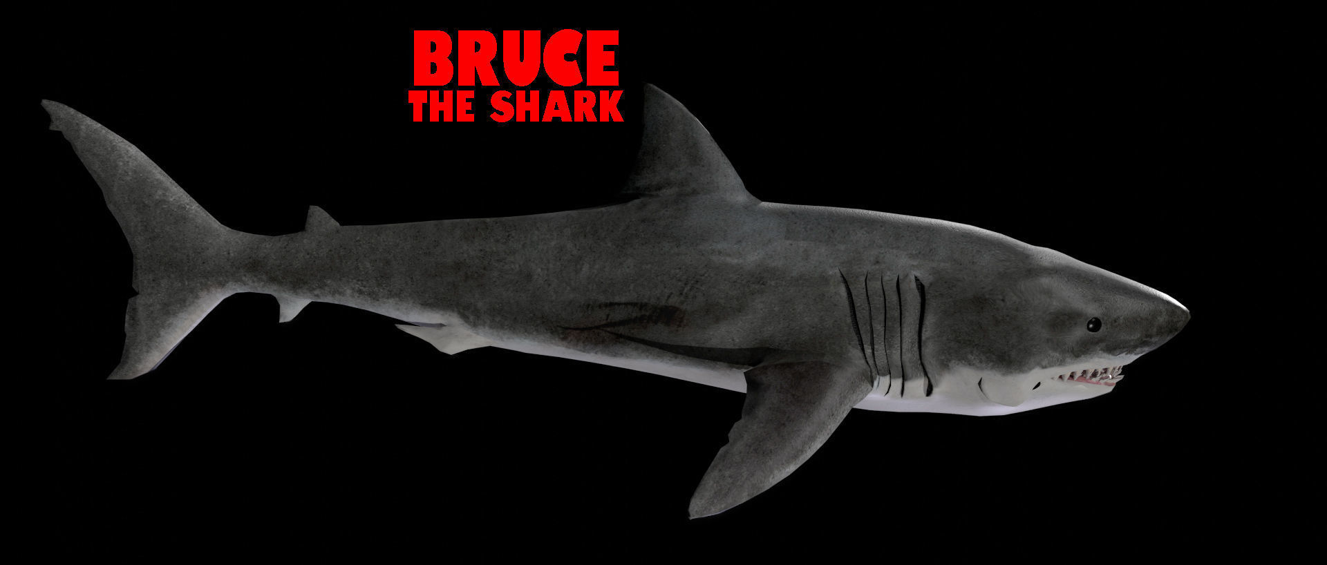Bruce the Shark from Jaws 3D model_6
