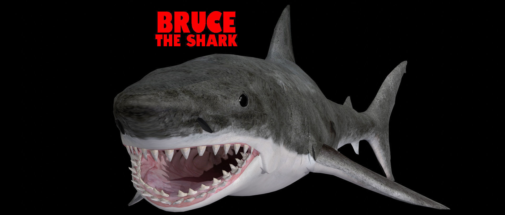 Bruce the Shark from Jaws 3D model_4