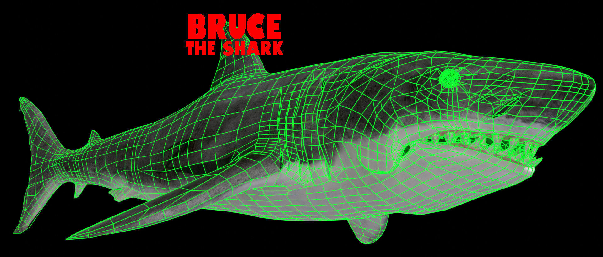 Bruce the Shark from Jaws 3D model_7