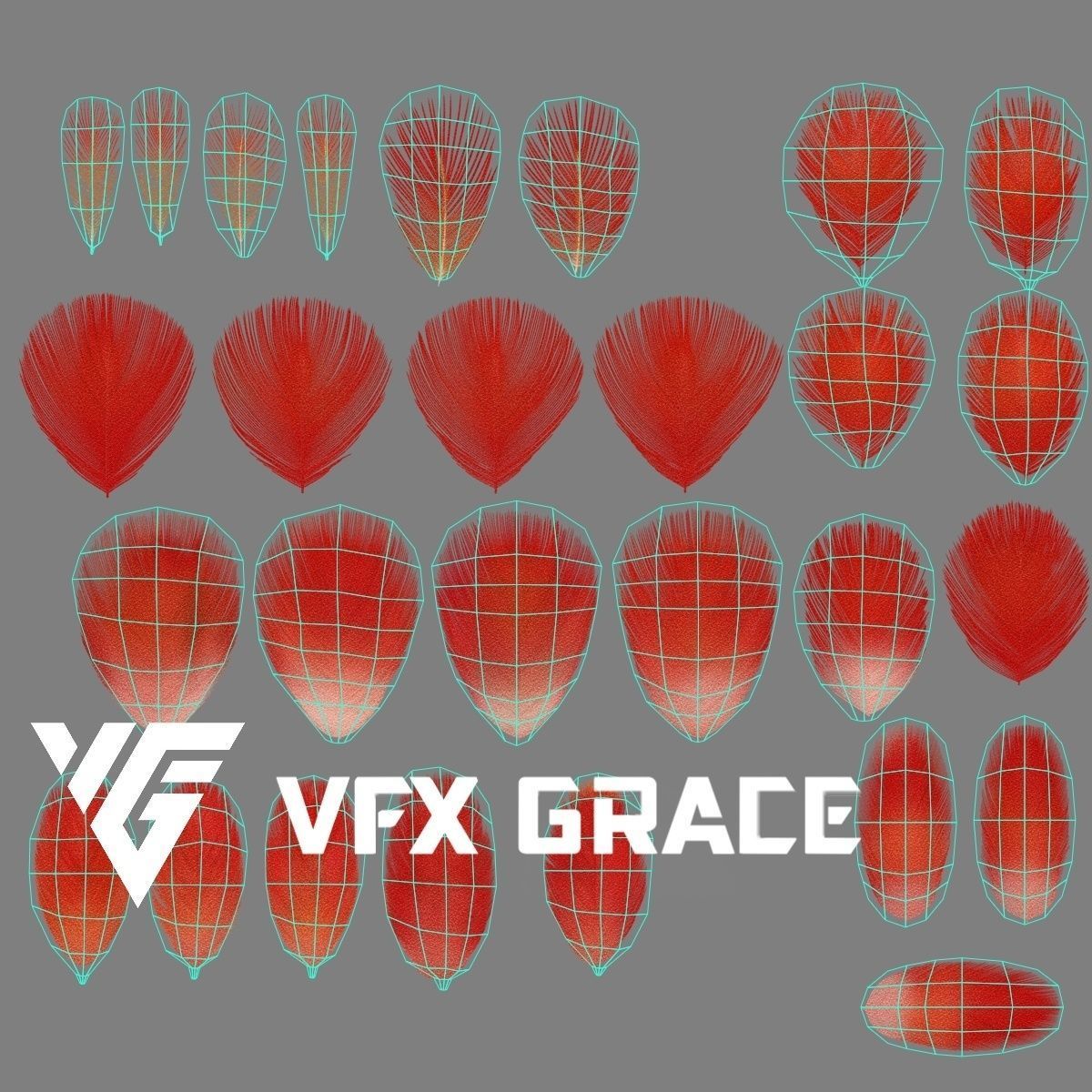 Ara Macao Animation - VFX Grace 3D model_28