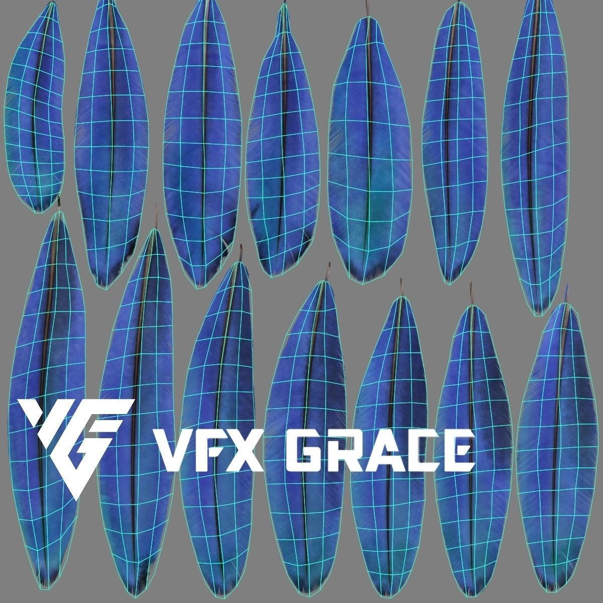 Ara Macao Animation - VFX Grace 3D model_30