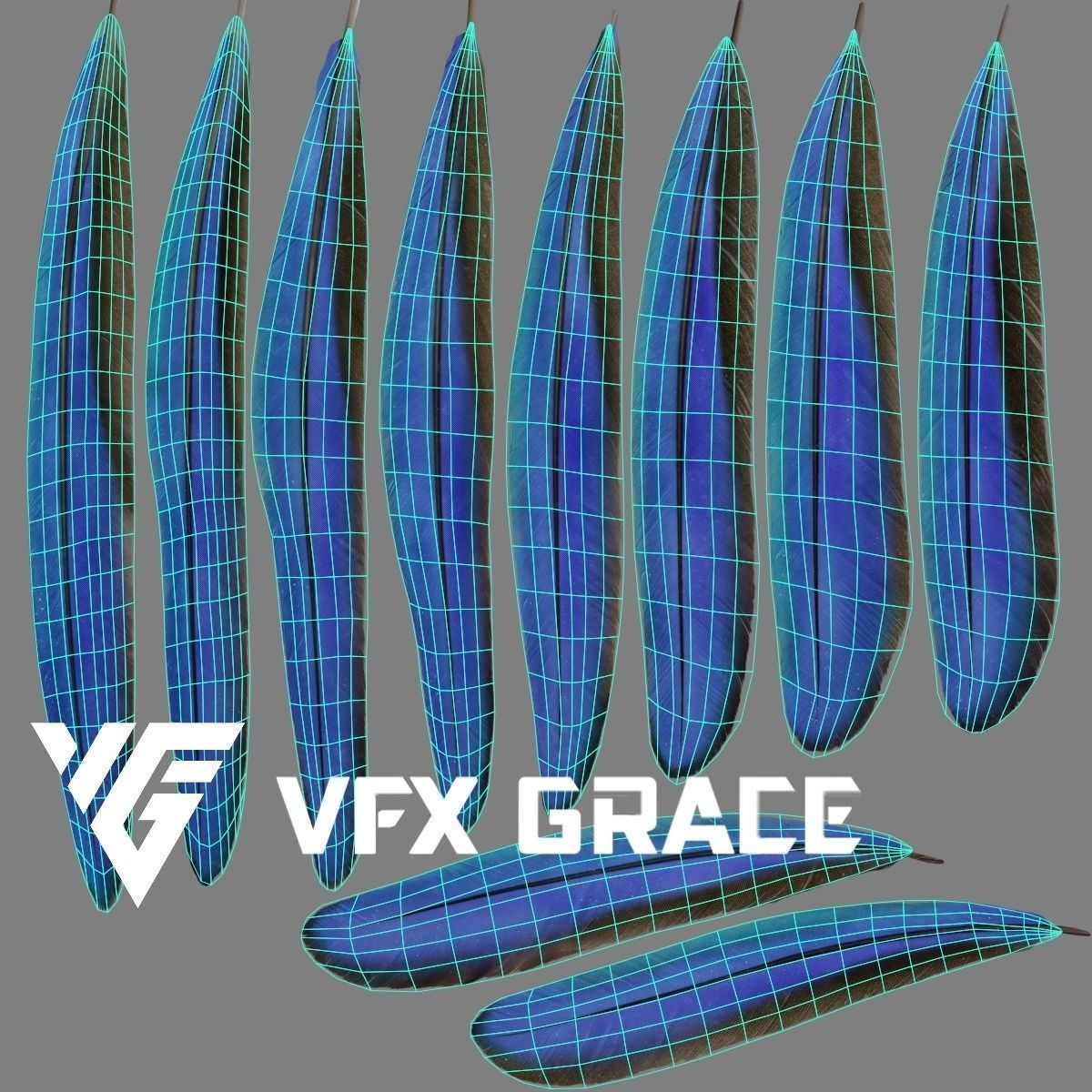 Ara Macao Animation - VFX Grace 3D model_25