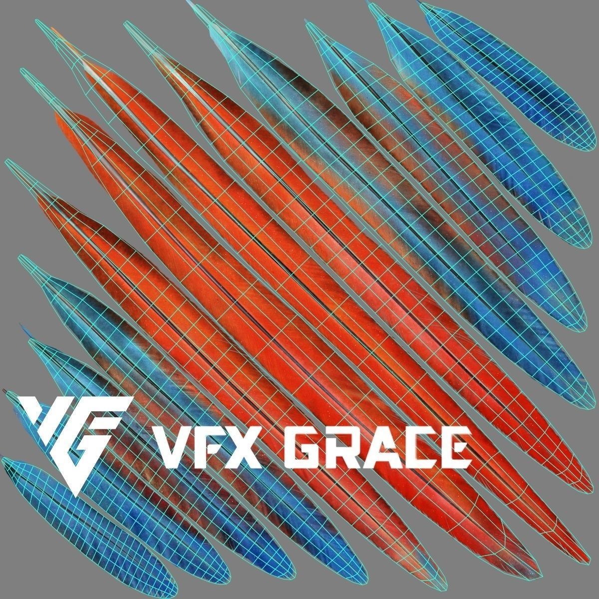 Ara Macao Animation - VFX Grace 3D model_33