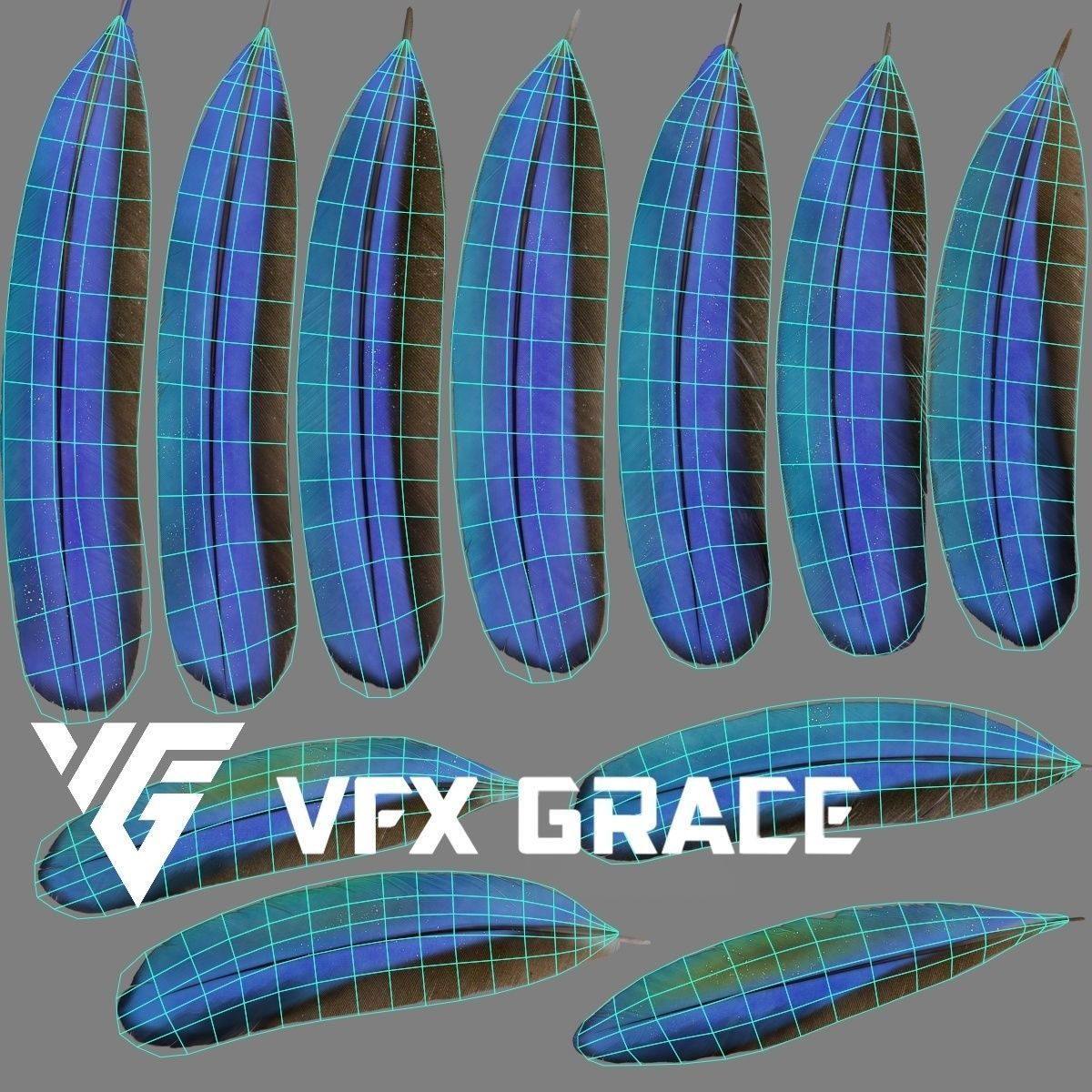 Ara Macao Animation - VFX Grace 3D model_26