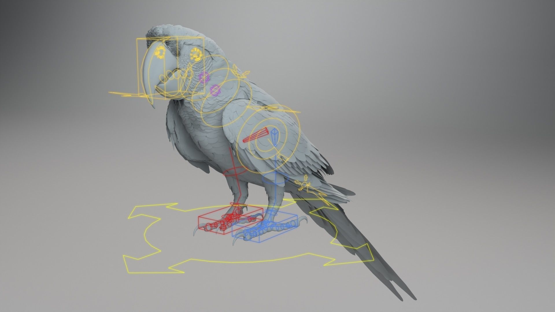 Ara Macao Animation - VFX Grace 3D model_15