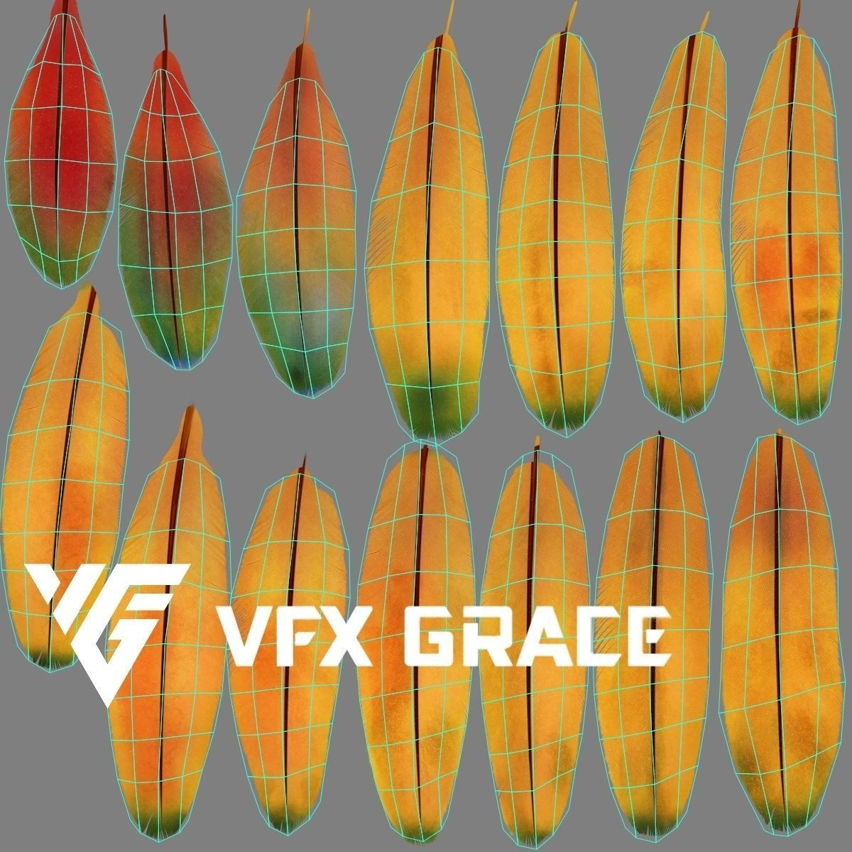 Ara Macao Animation - VFX Grace 3D model_31