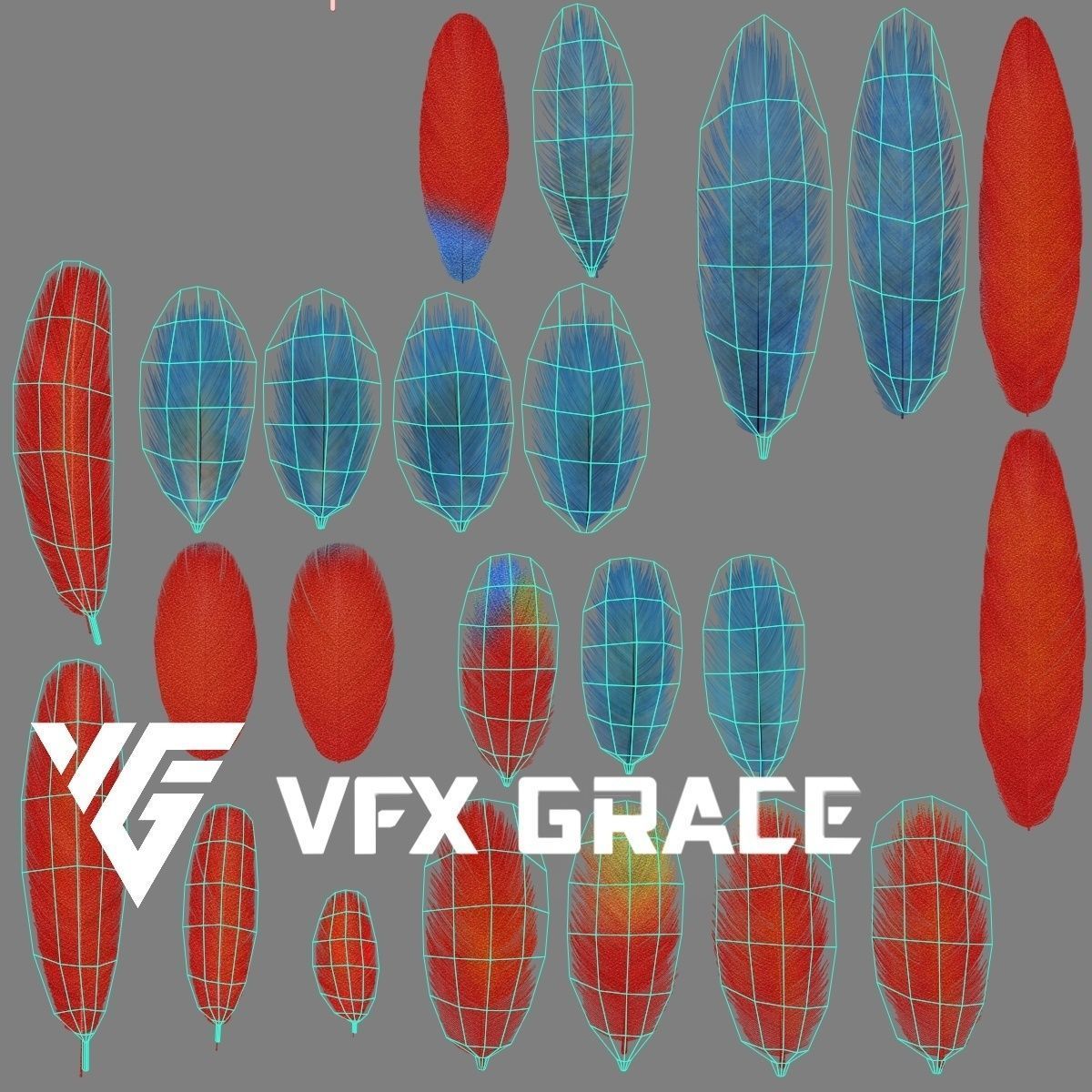 Ara Macao Animation - VFX Grace 3D model_27