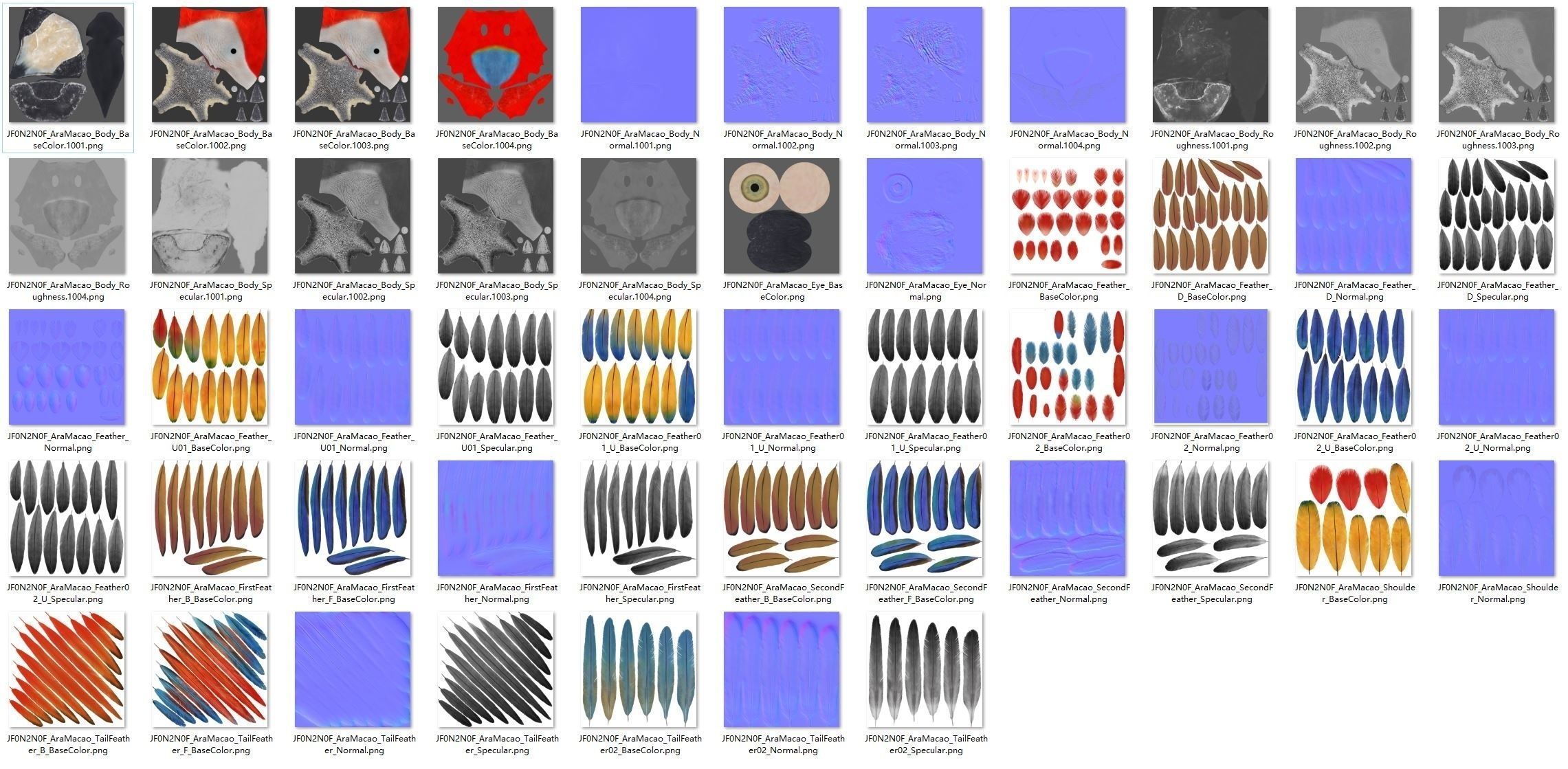 Ara Macao Animation - VFX Grace 3D model_35