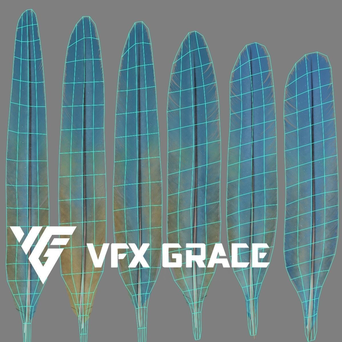 Ara Macao Animation - VFX Grace 3D model_34