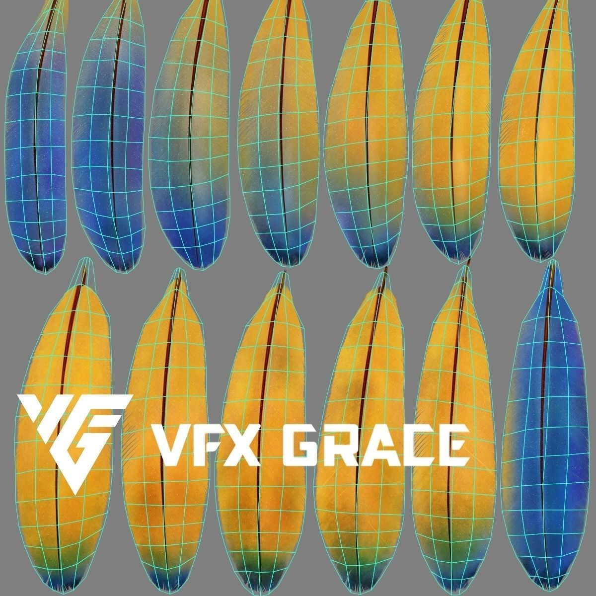 Ara Macao Animation - VFX Grace 3D model_32