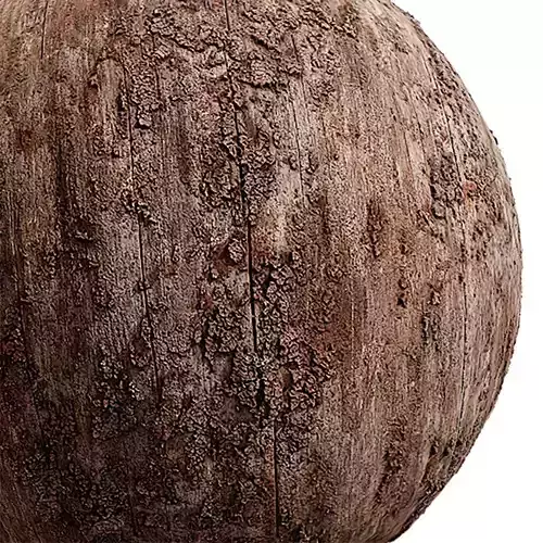 Bark Seamless Texture 2K - EXR 5 - JPG 5 Texture