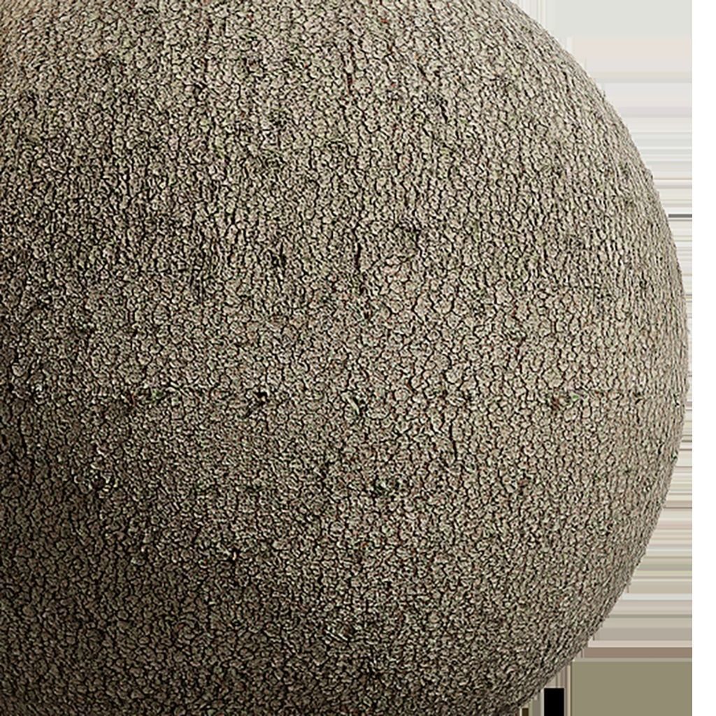 Bark Seamless Texture 2K - EXR 5 - JPG 5 Texture Texture_3