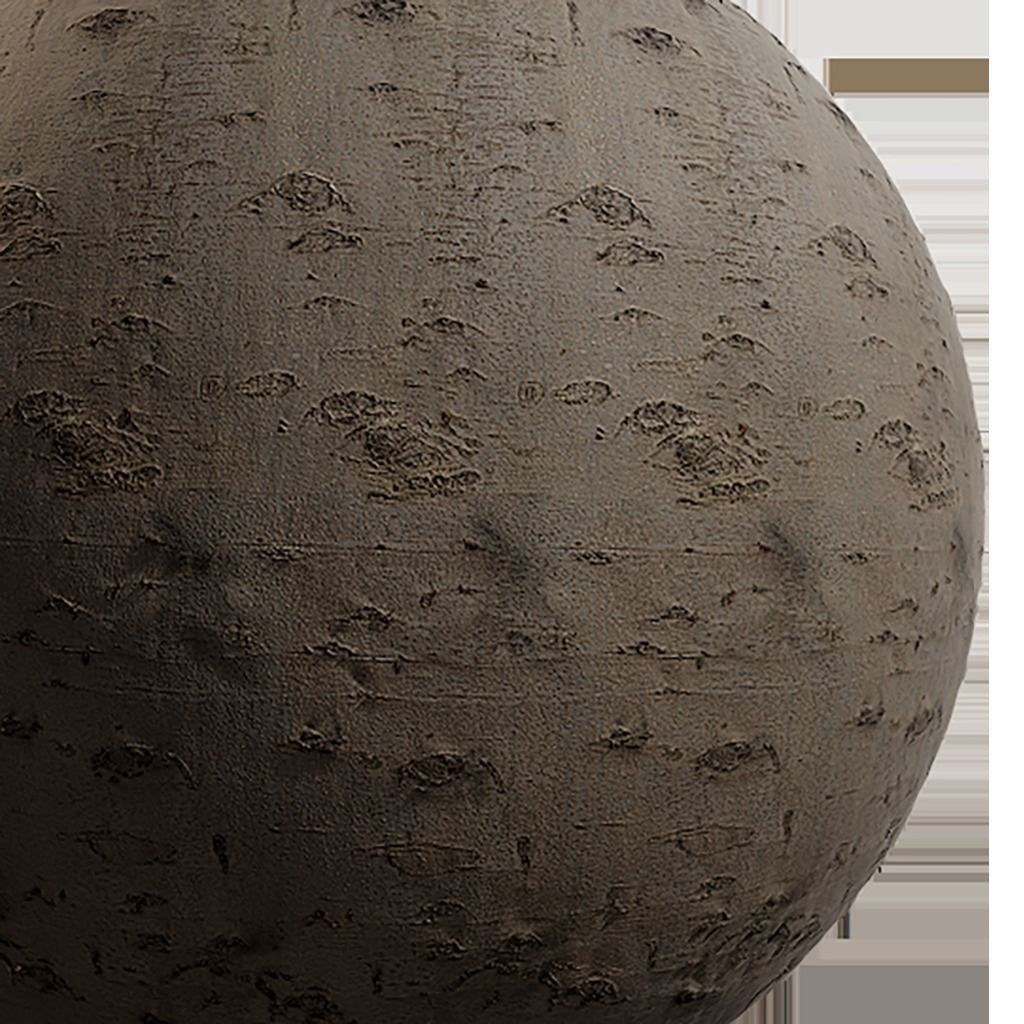 Bark Seamless Texture 2K - EXR 5 - JPG 5 Texture Texture_1