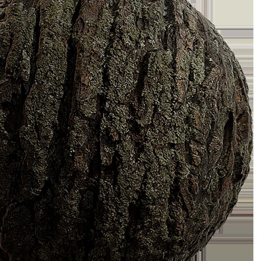 Bark Seamless Texture 2K - EXR 5 - JPG 5 Texture Texture_4