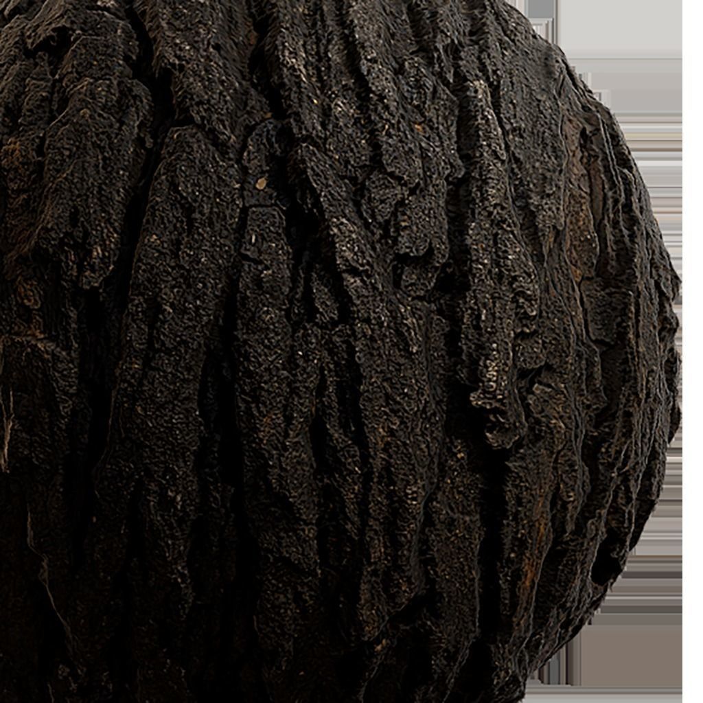 Bark Seamless Texture 2K - EXR 5 - JPG 5 Texture Texture_3