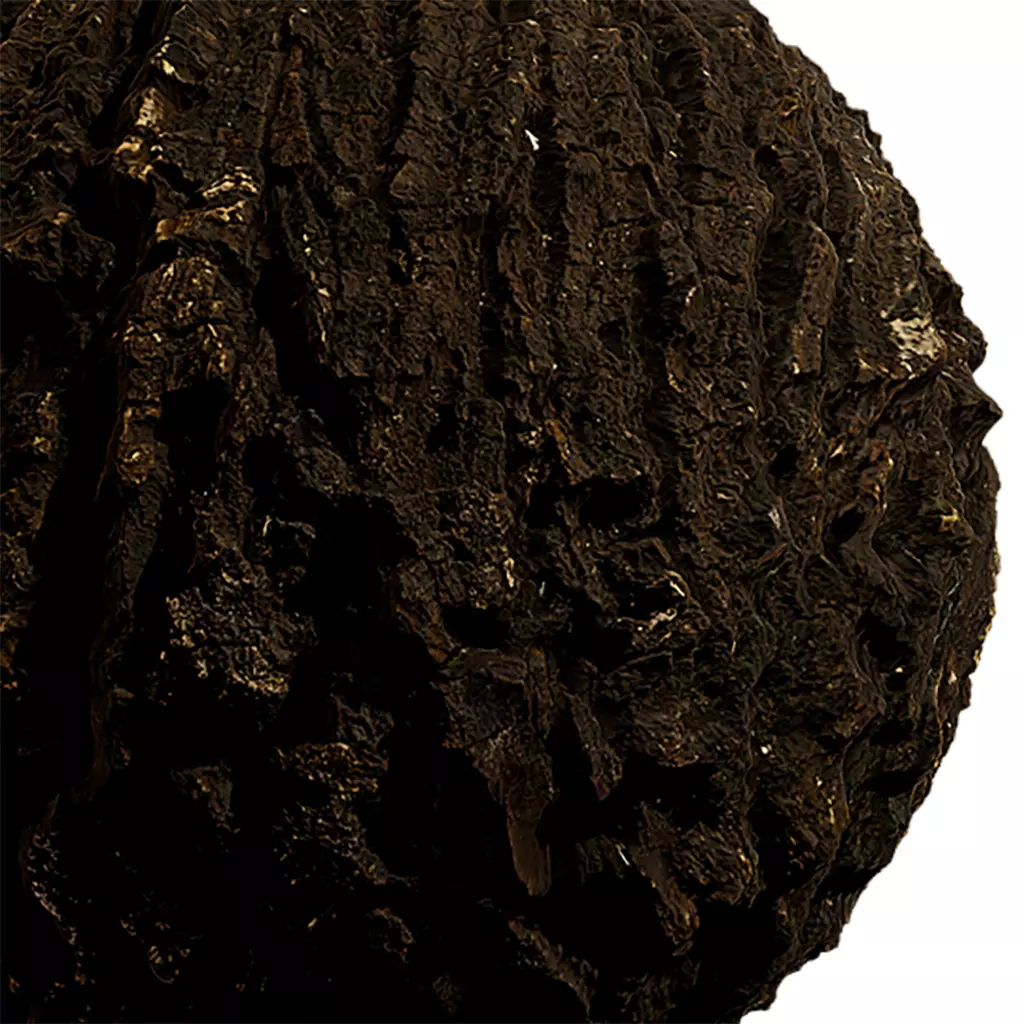 Bark Seamless Texture 2K - EXR 5 - JPG 5 Texture Texture_0