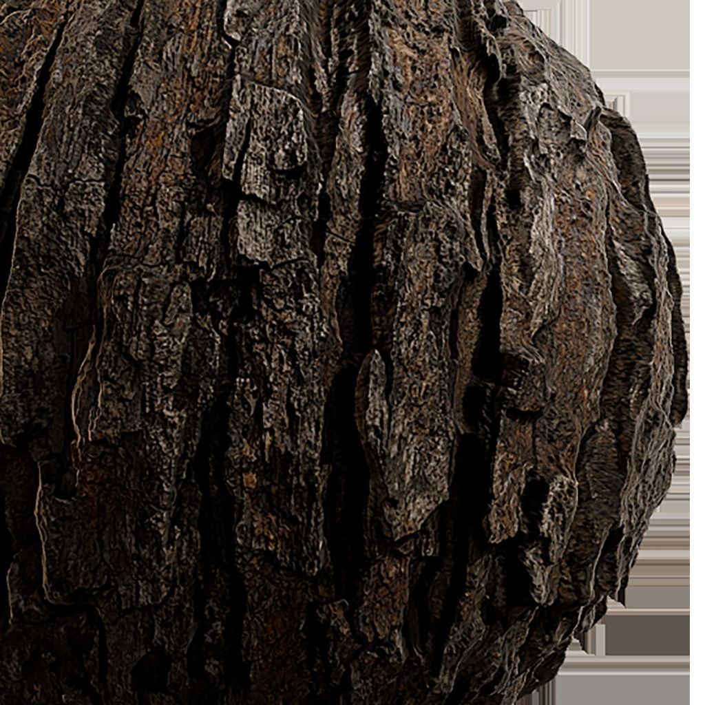 Bark Seamless Texture 2K - EXR 5 - JPG 5 Texture Texture_1