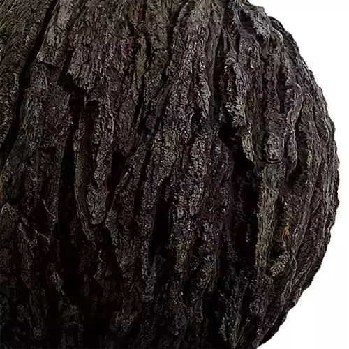 Bark Seamless Texture 2K - EXR 5 - JPG 5 Texture