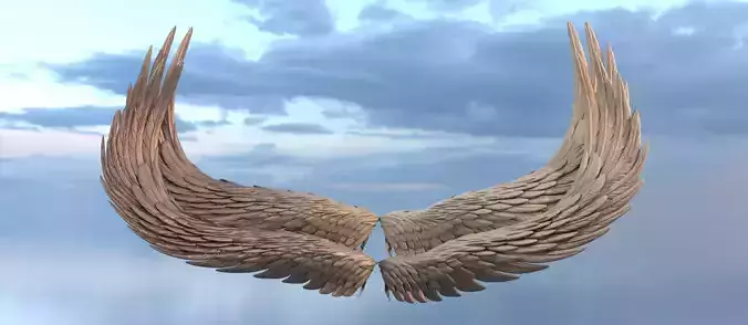 Angels renaissance wall mount wings