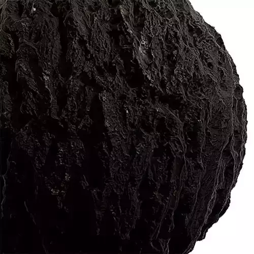 Bark Seamless Texture 2K - EXR 5 - JPG 5 Texture