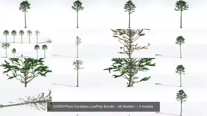 EVERYPlant Cordaites LowPoly Bundle --48 Models-- 3D Model Collection
