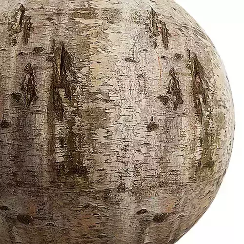 Bark Seamless Texture 2K - EXR 5 - JPG 5 Texture