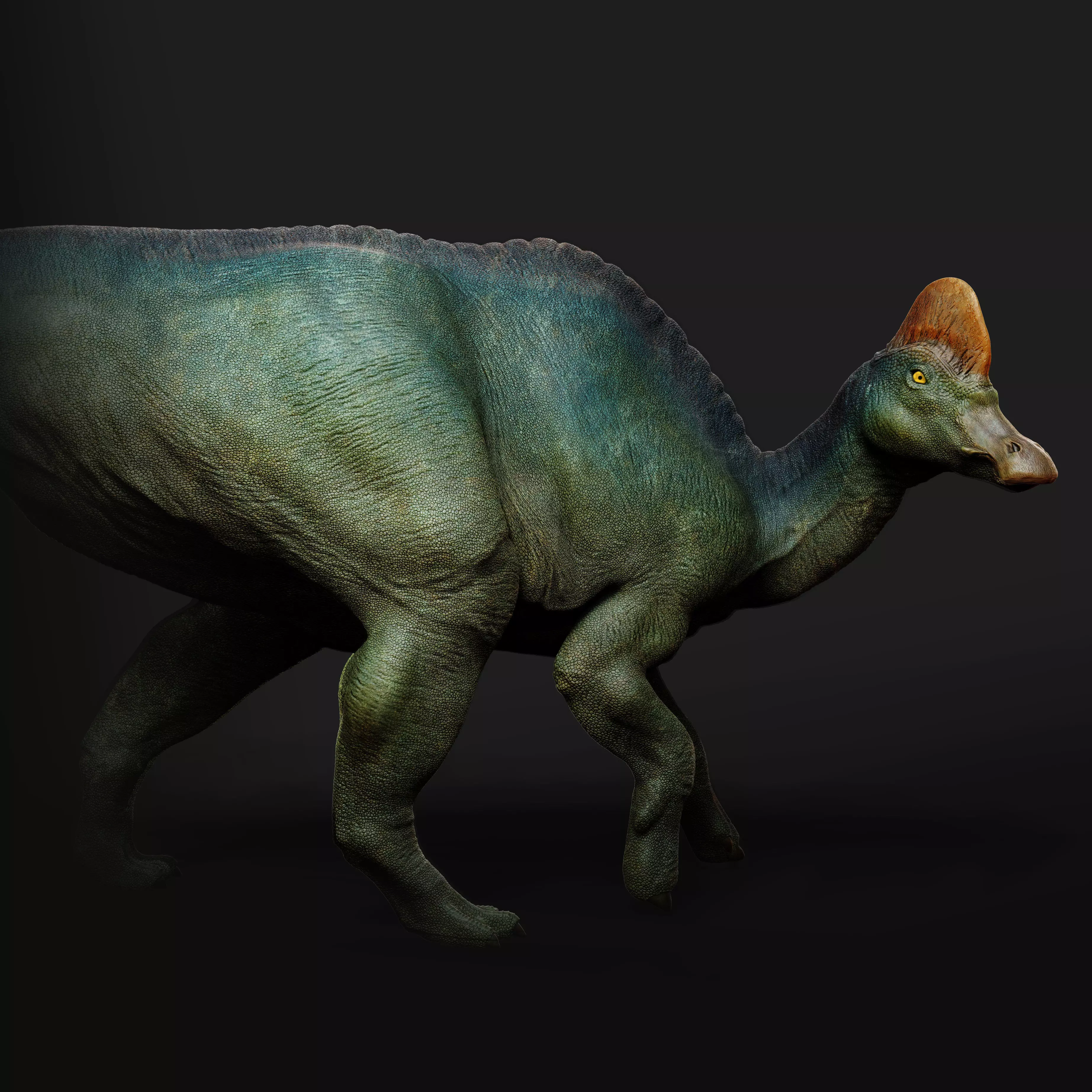 Corythosaurus walking 1-35 scale pre-supported dinosaur 3D print model_0