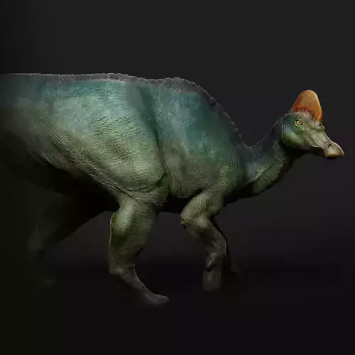 Corythosaurus walking 1-35 scale pre-supported dinosaur 3D print model Corythosaurus walking 1-35 scale pre-supported dinosaur 3D print model