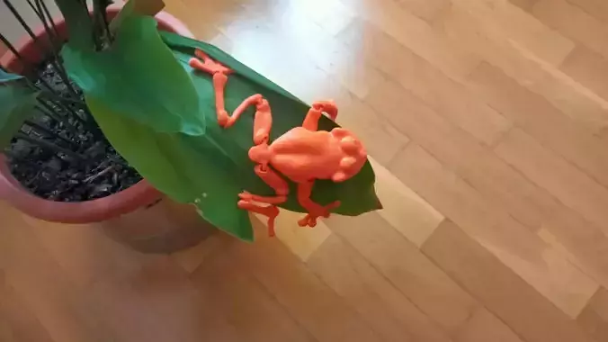 Linda ranita flexible articulada tiempo limitado