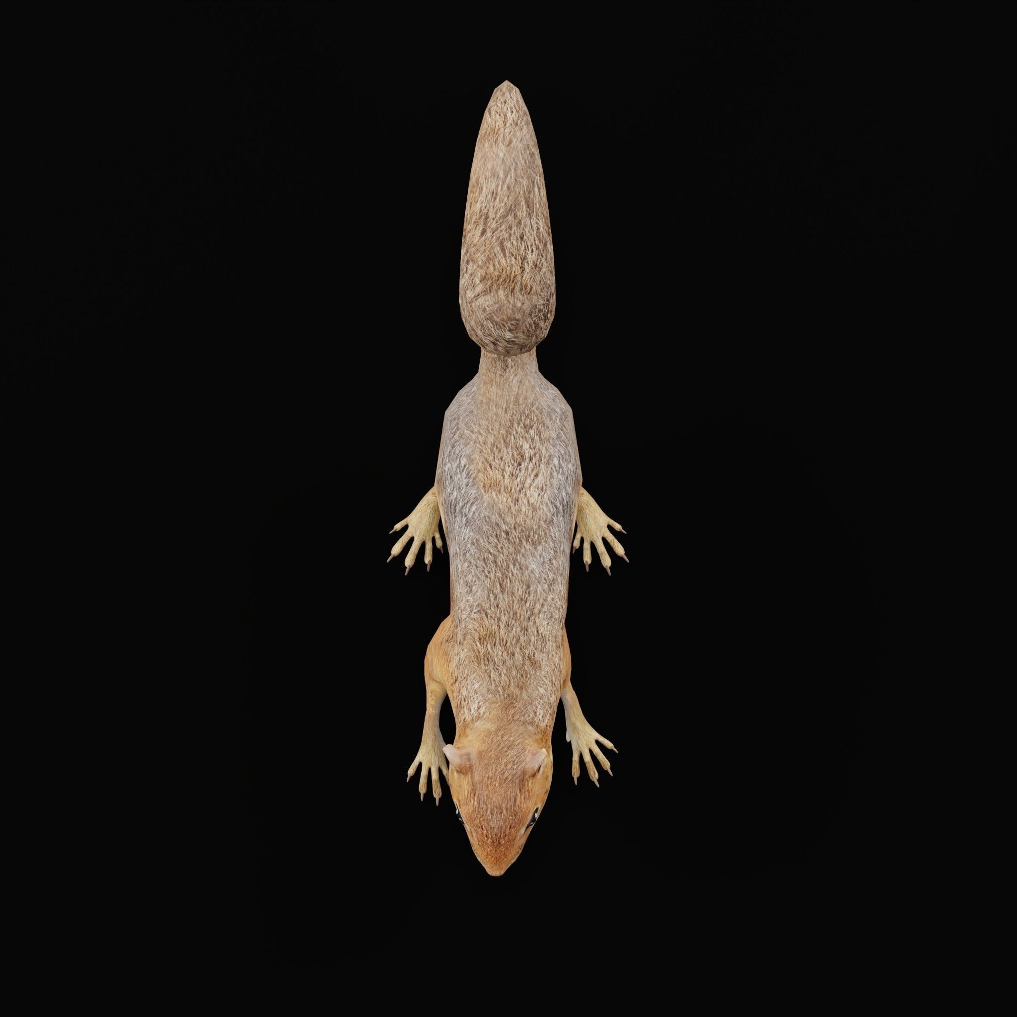 Fox Squirrel Rodent Low-poly 3D model_23