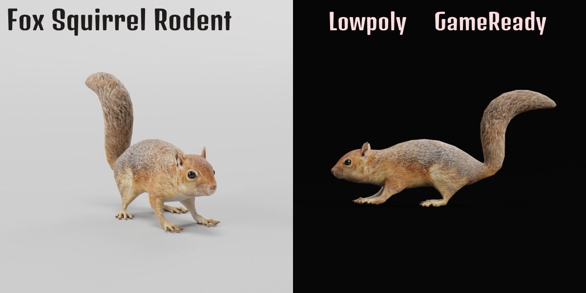 Fox Squirrel Rodent Low-poly 3D model_2