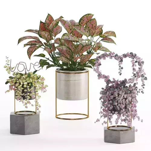 Indoor Plant Valentine set04